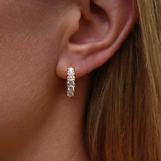 Rani Hoops